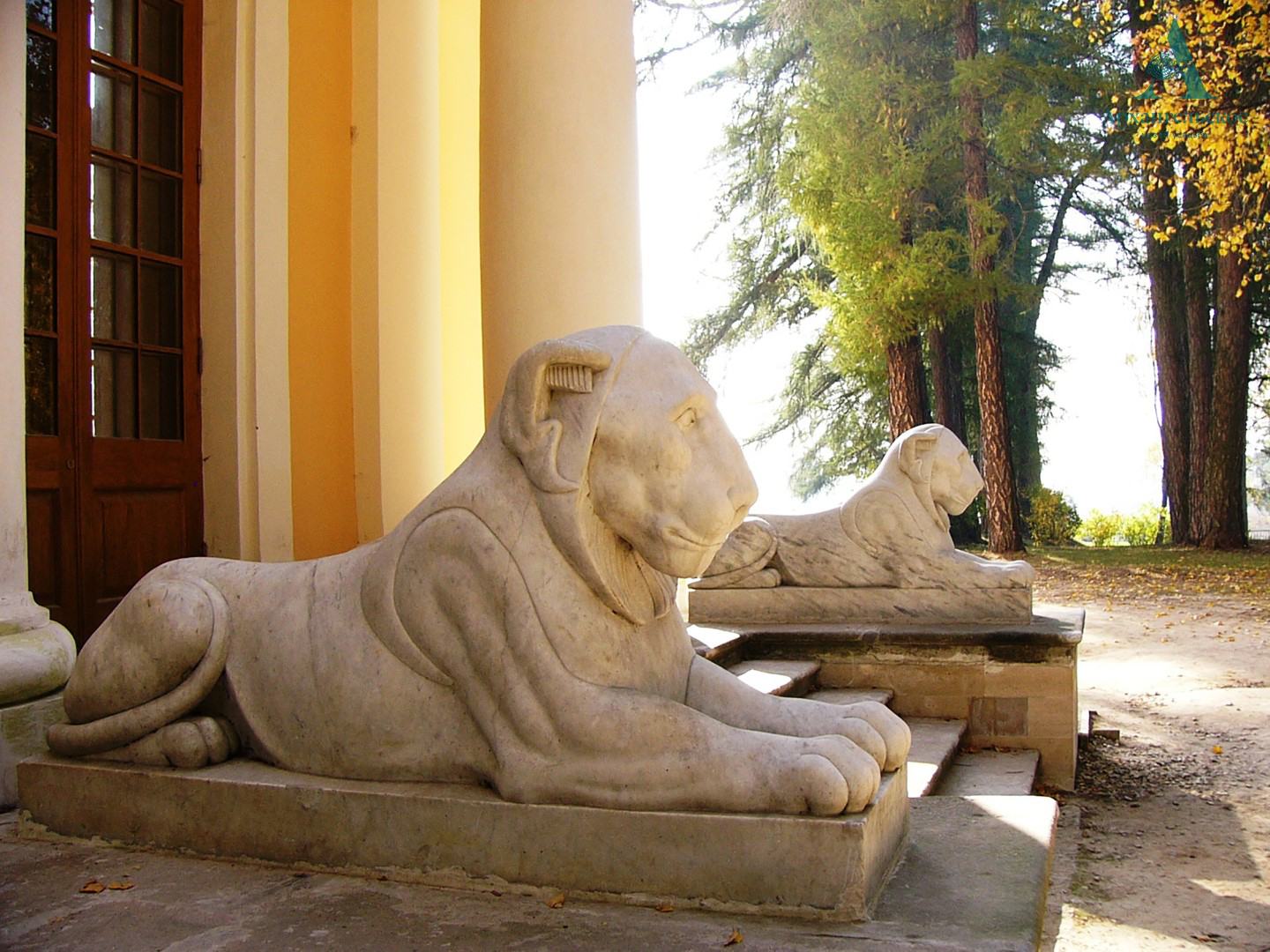 . ���������  (1)