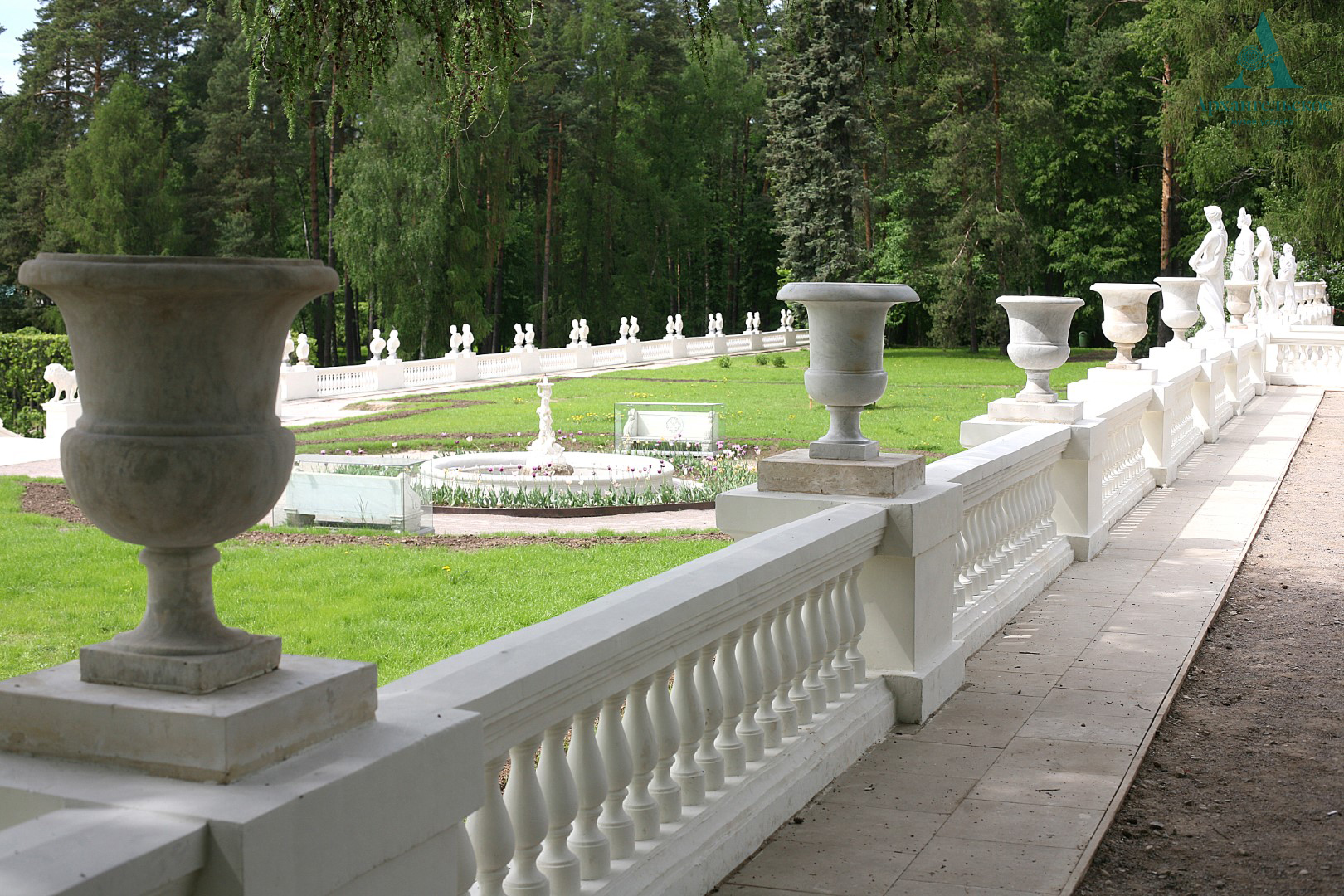 �������  (6)