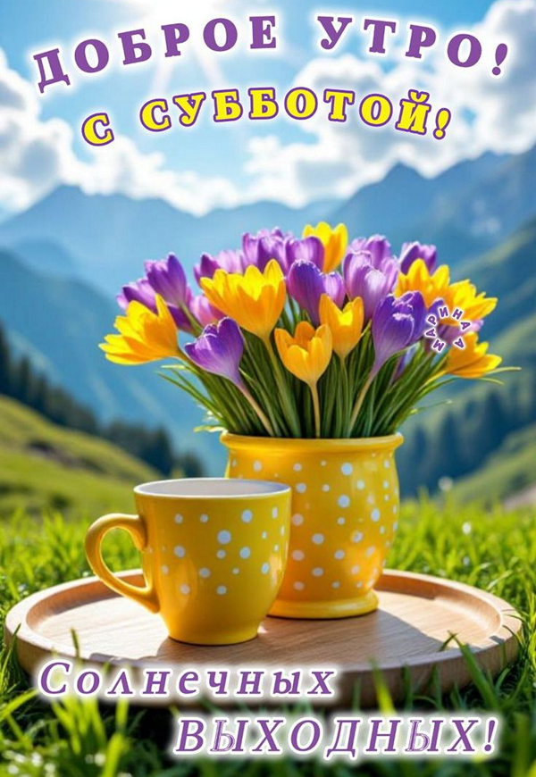 209de28f69d09948b59b4641fddb49ae_cr