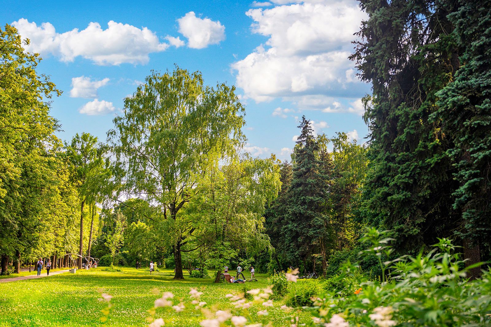 Sokol_niki_22