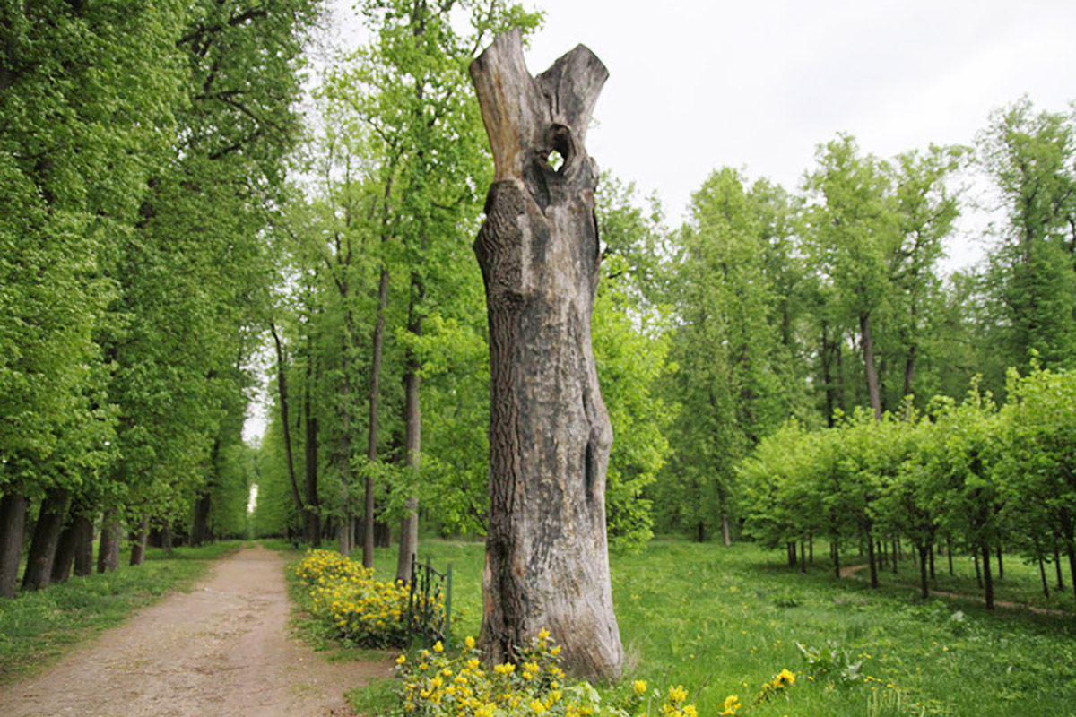 b2e375e0-6b8e-4305-9e7b-e56ccc26f852