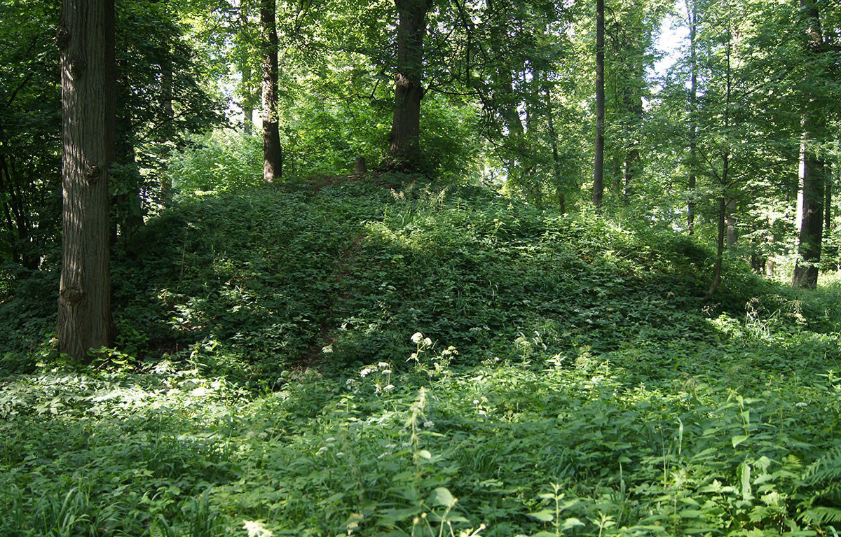 6f187d7f-1acc-462d-90c9-849e7bcf6a8e