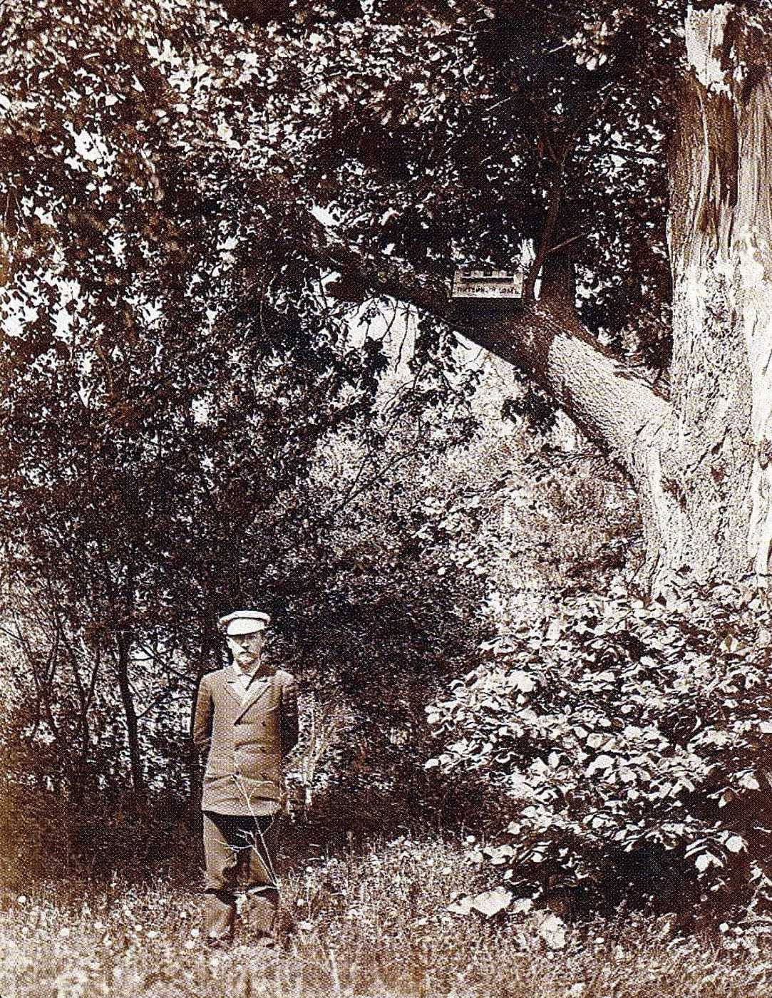 1d749b87-1ef8-46bf-a682-36e6605afee7