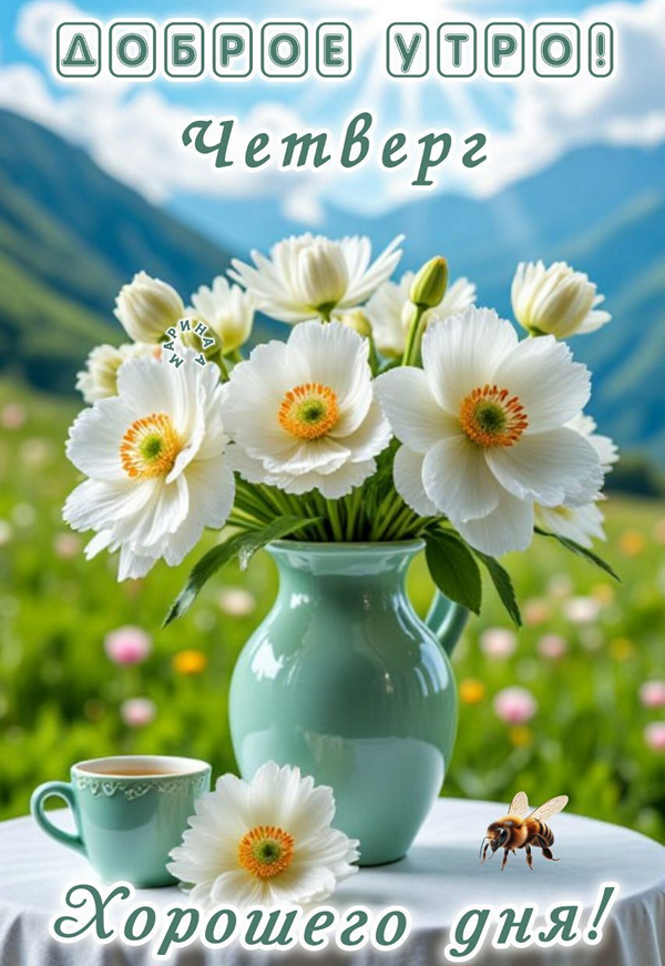 77a67ed7298b43fce123c73a767c8879_cr