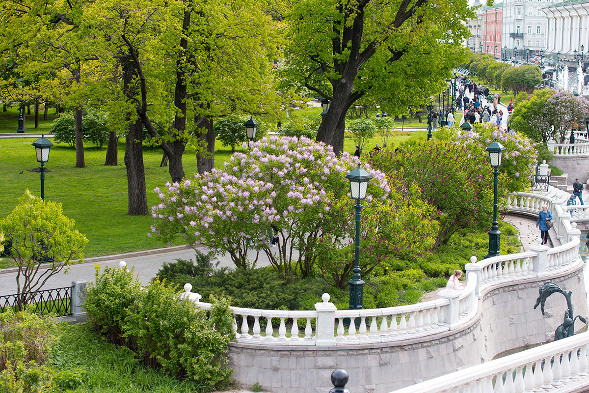 ab6ebf19-29e9-43e5-aa81-182db210df45