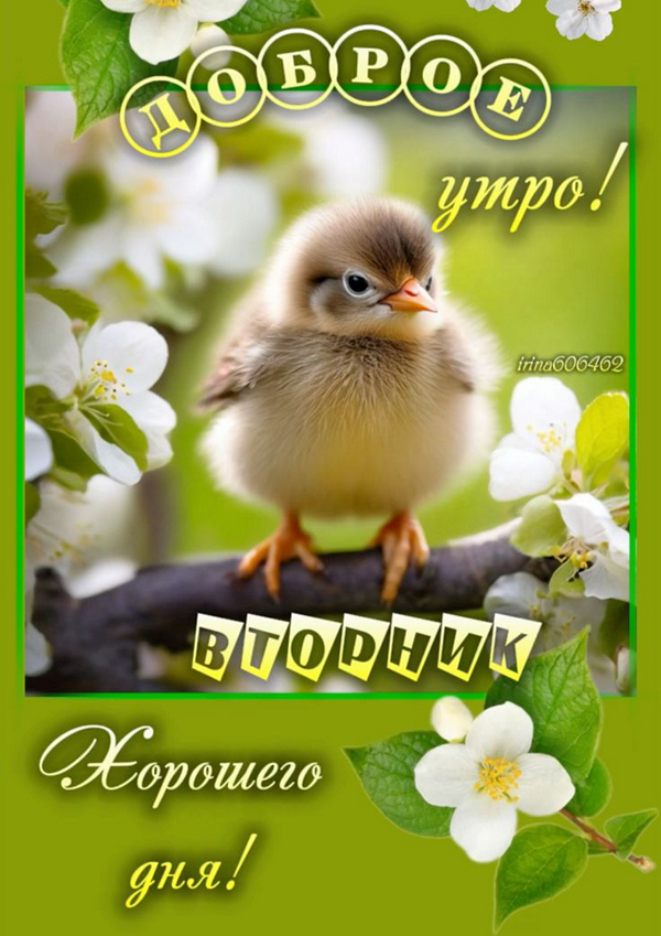 4678858a42412b3f2ba06742e0e9ffa7_cr