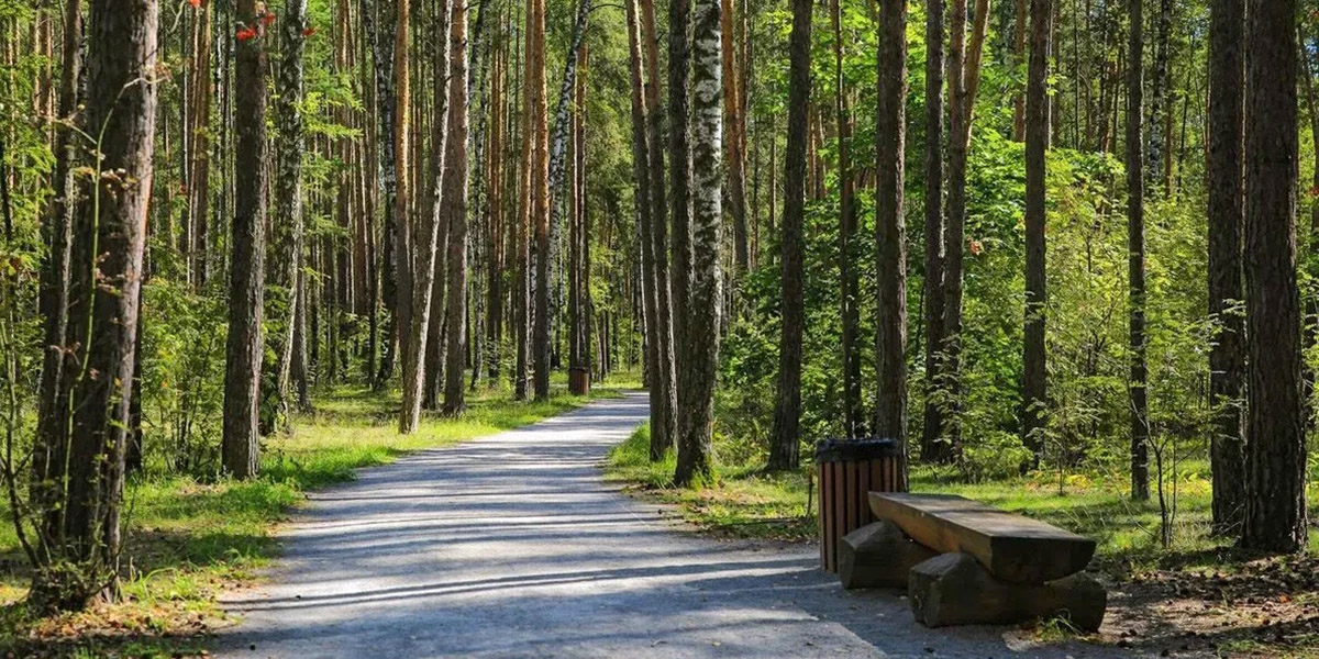 786699fd-d247-473c-9e9c-cb95d4f59b5a