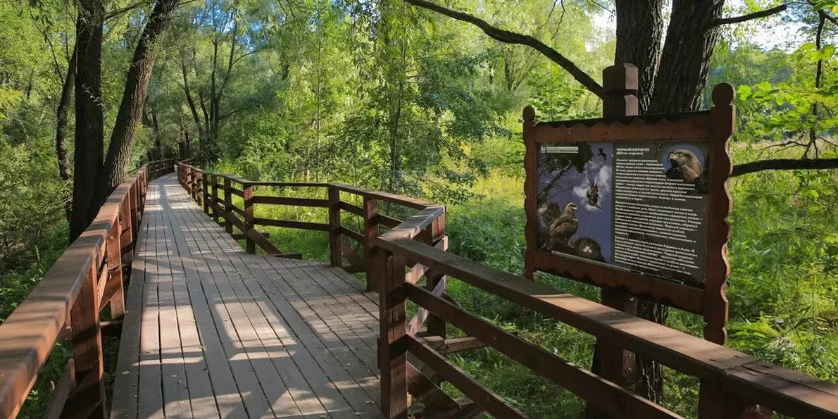 serbor-bezdonnoe-1 (1)