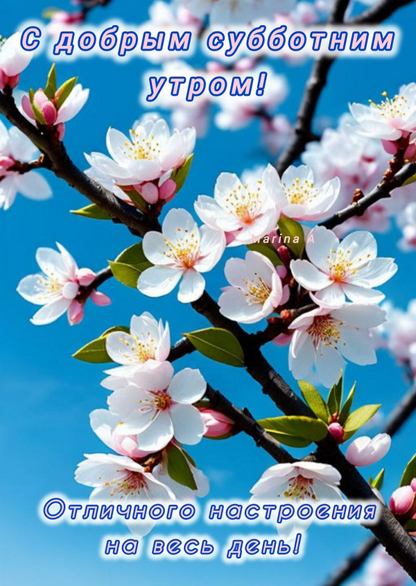 da5ab2a045a53b4d1e0a02e54b0cf836_cr