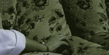 кот-