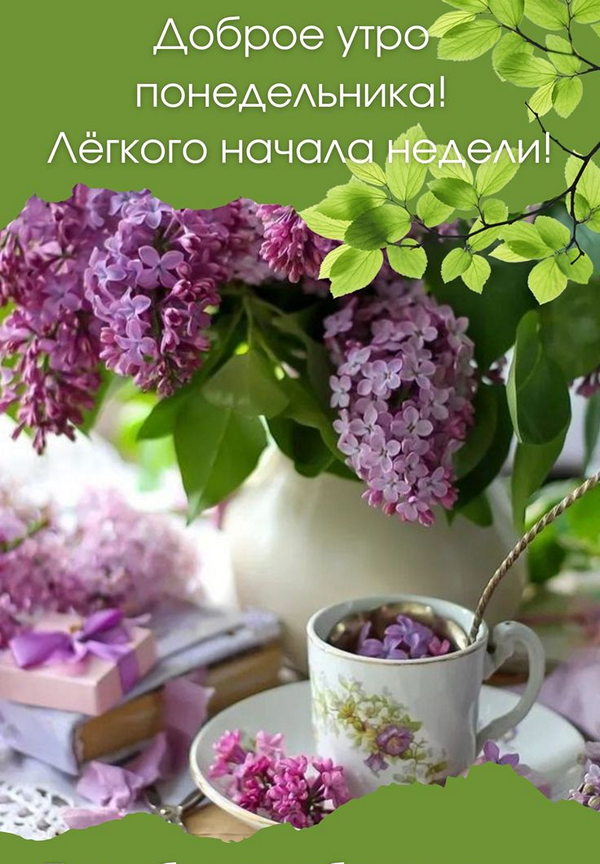 982a47a3a86f651d74b6ca7194b200a9_cr