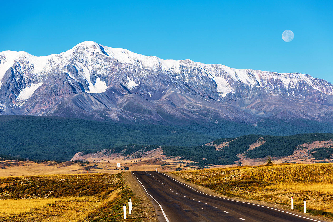 e93d90e9-8dd2-4bd3-9f60-02d3f951e3ba