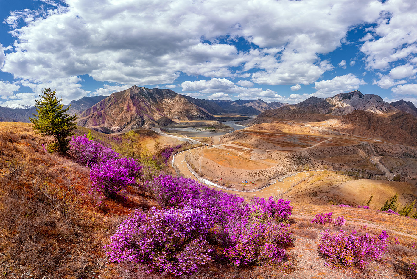 2203ba6a-2ab5-47ba-a57b-c4ac78670551