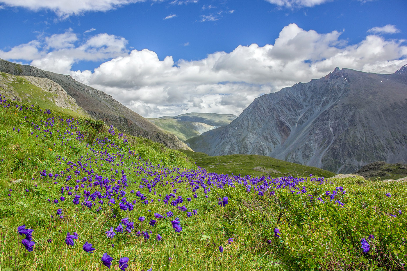 09aeefa6-b112-4f5f-97f5-be11689ef990