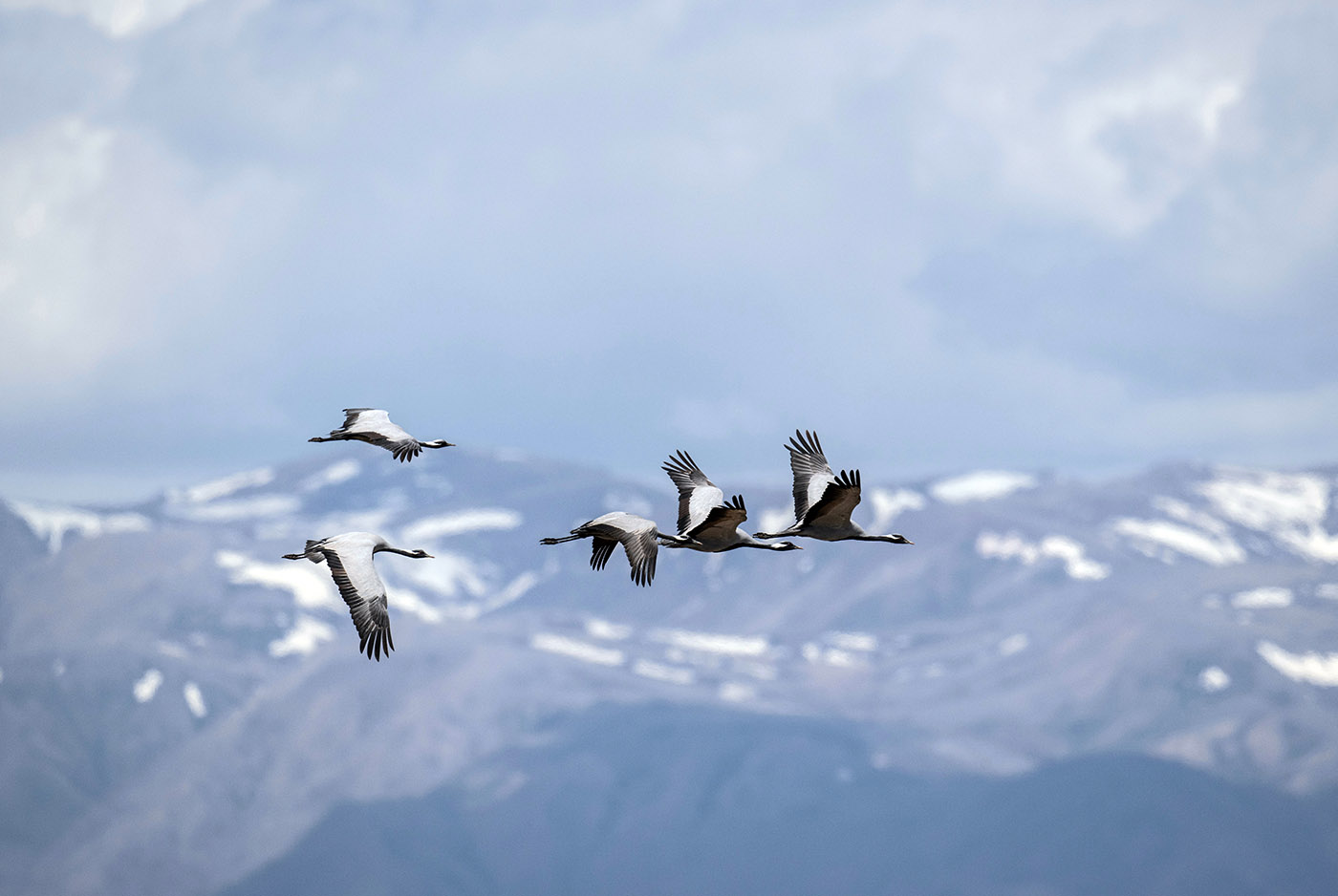 74c27c6e-b31e-47f5-8f8b-746e7b7abd4d