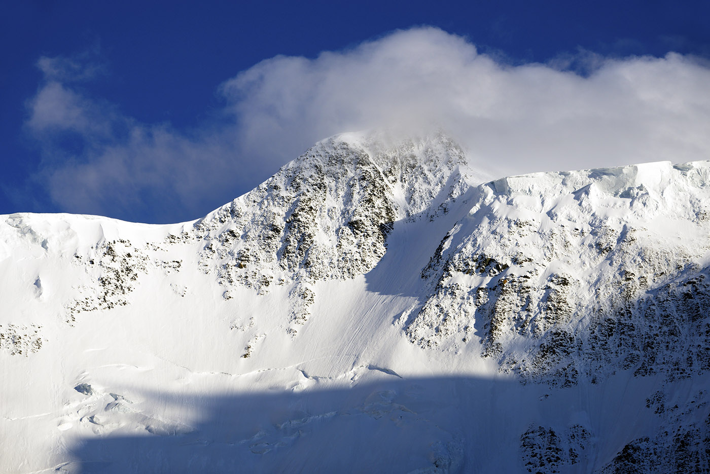 dcf29d23-549d-488f-8e02-73d36b51b9fc