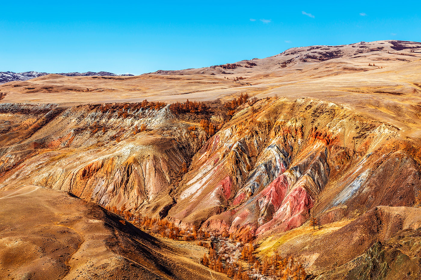 8506277c-8cc9-4c68-bdcc-bbc242a7a84c