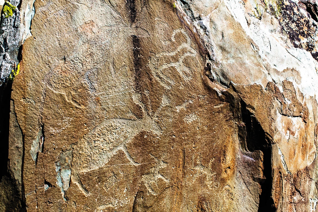 8628d265-cedc-41af-9519-4c766d8ae699