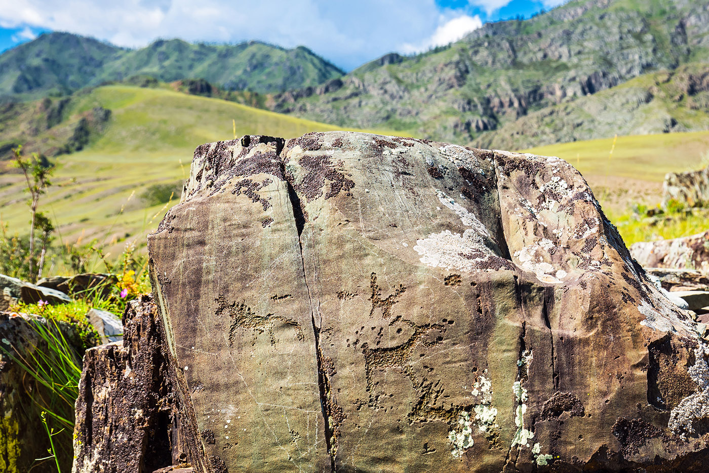 49b3f421-2c61-4f4c-9db1-17931a3ff7d9