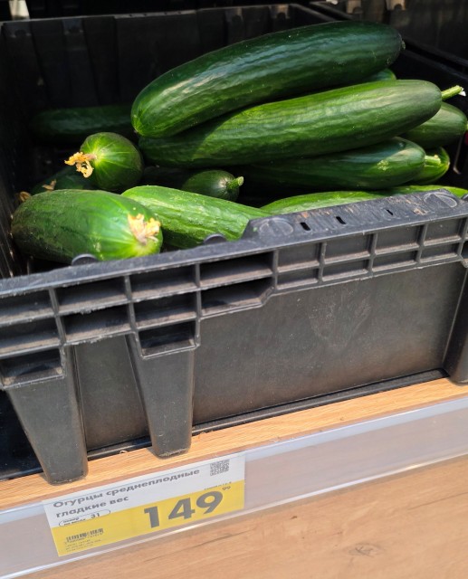 photo_2026-04-24_07-26-11