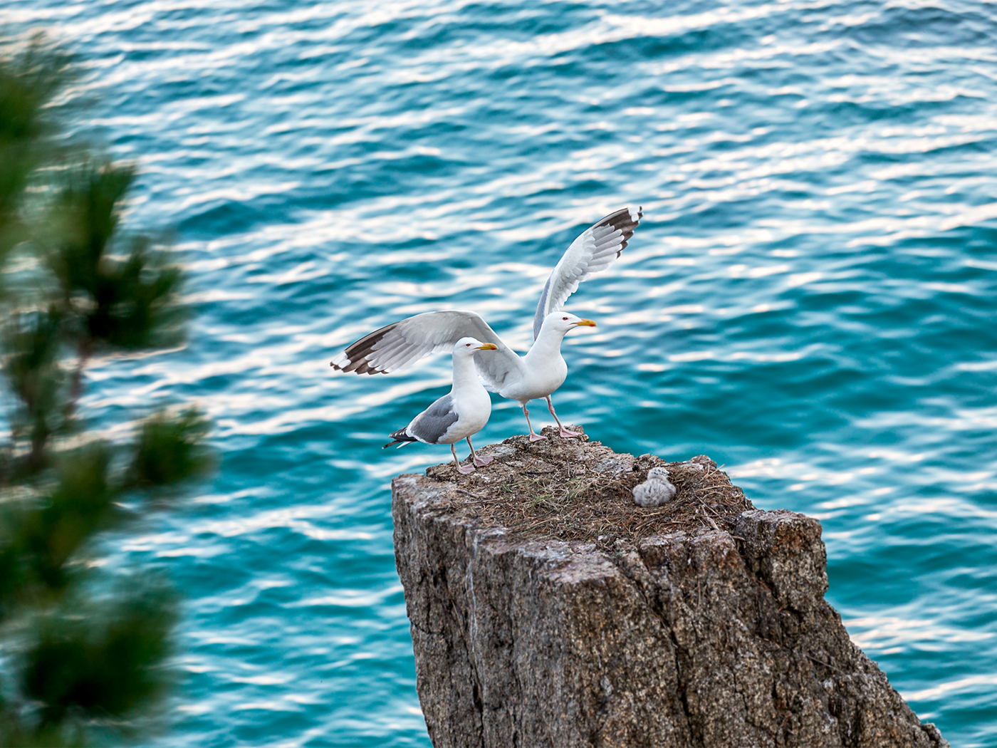 14bc39f4-8bd3-4f63-9d83-1343e160dfee