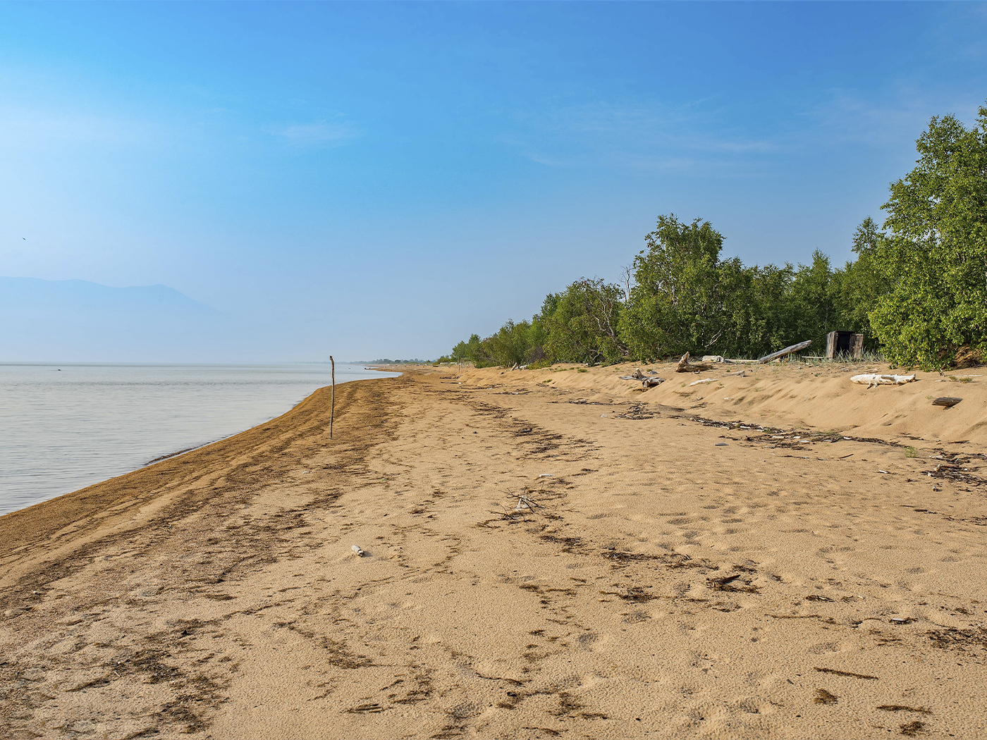 7c7a2ce5-42e5-457d-9ced-fc2f3ba25215