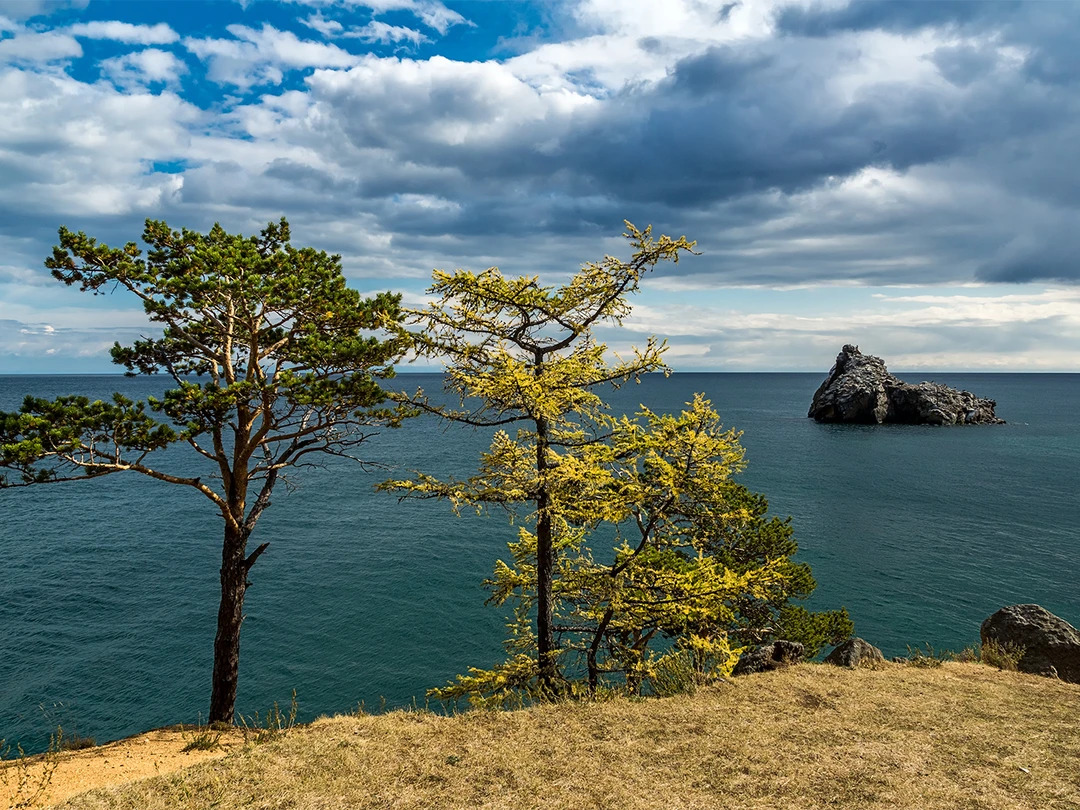 c1f45d20-9b7f-4014-81bb-f9eb74fd6ab8