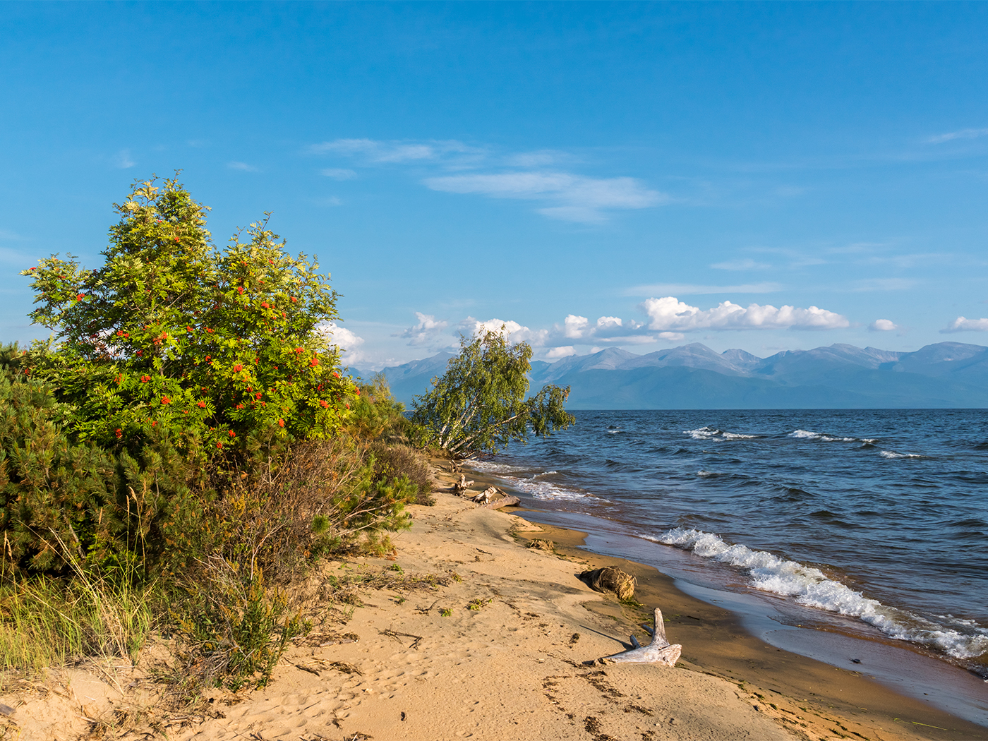 e4c71bd9-4afc-4602-8072-91bff7fc9b88