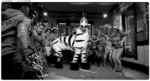 dancezebra