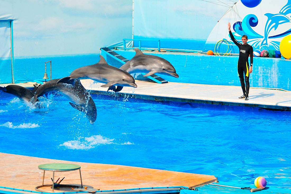 sevastopol-dolphinarium