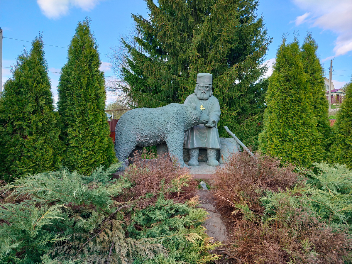 scale_1200 (4)