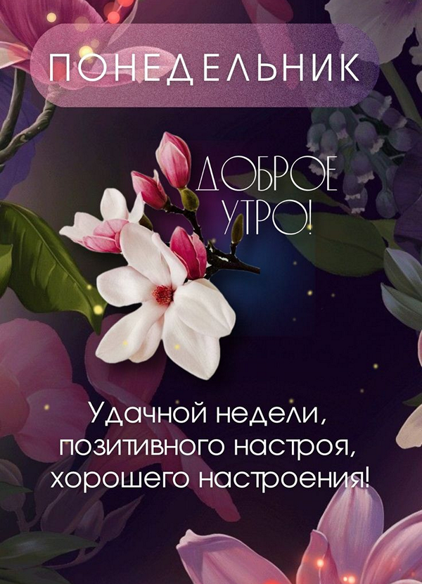 b40372fb9e50161c7de791ac4db3f301_cr