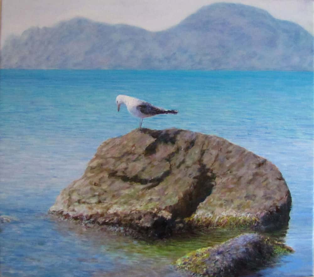 main_753_seaBird