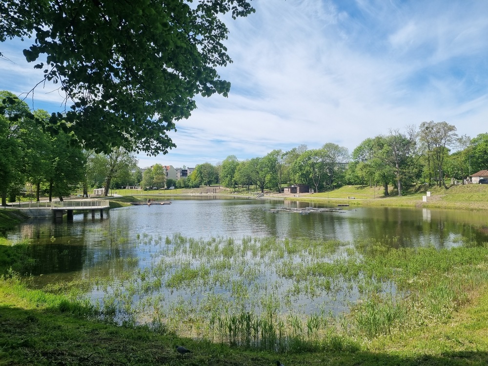 Ozera-Gorodskoy-park-CHernyakhovsk-_1_