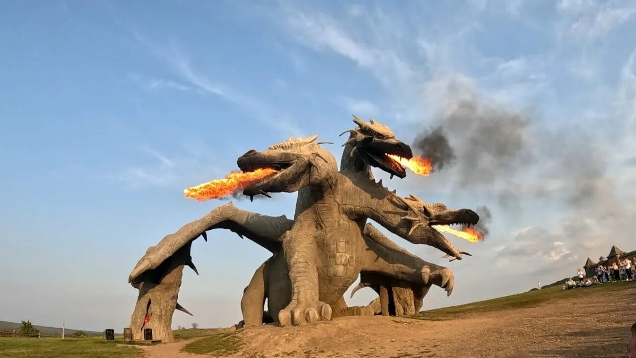 i (1)
