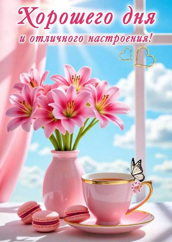 fac6e62bb91250d99c9dc1a15e8629e1_cr