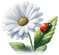 _baf6d8d1-4b8f-4f00-81b4-b75f9aea1f3ce-Photoroom