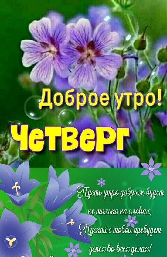 1c85525c52115f8a91568641c396056a_cr