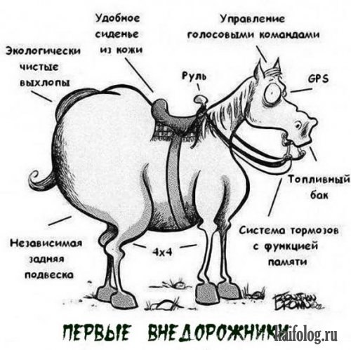 x_b8f525b6