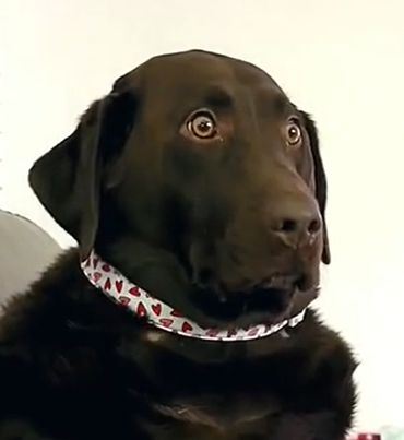 o_O