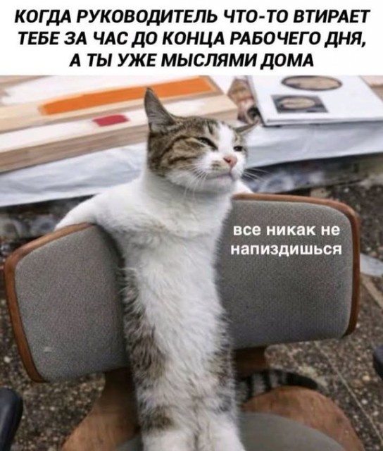 руководитель