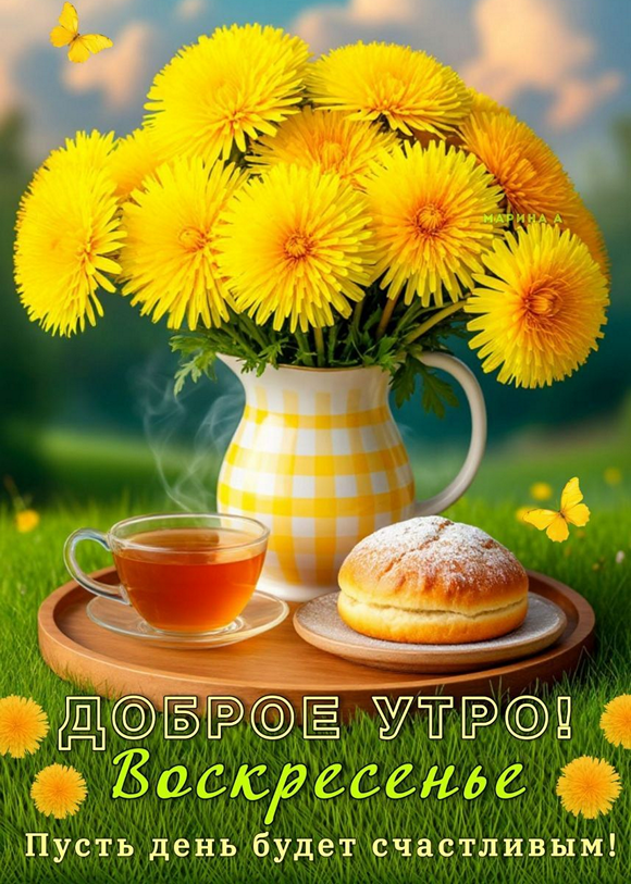 15c0be0347d640949fa05c463c300952_cr