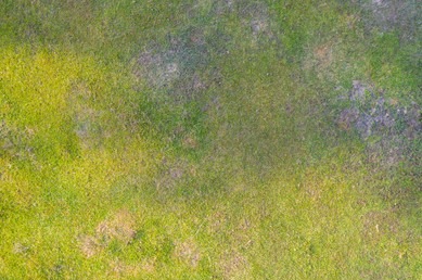 aerialtopviewnaturalgrass260nw1358038316_yapfiles.ru (1)