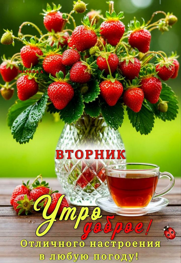 f538d09fa04dd0bf598574a3d321b496_cr