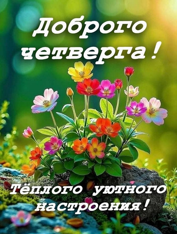 2beeb819fa9ccfd6cec2e04ff9c0c1ea_cr