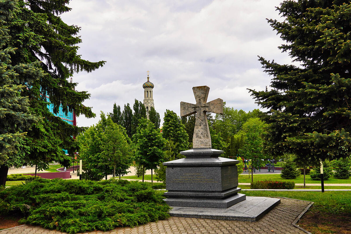 scale_1200 (4)