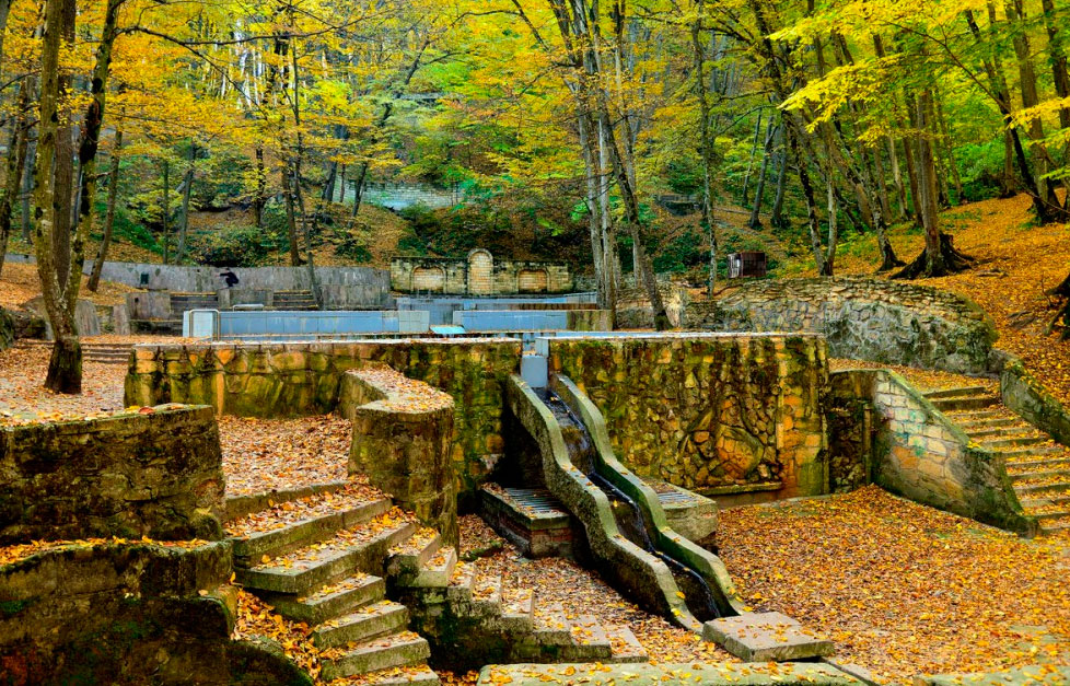 taman-forest