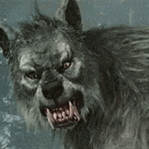 Wolf Werewolf