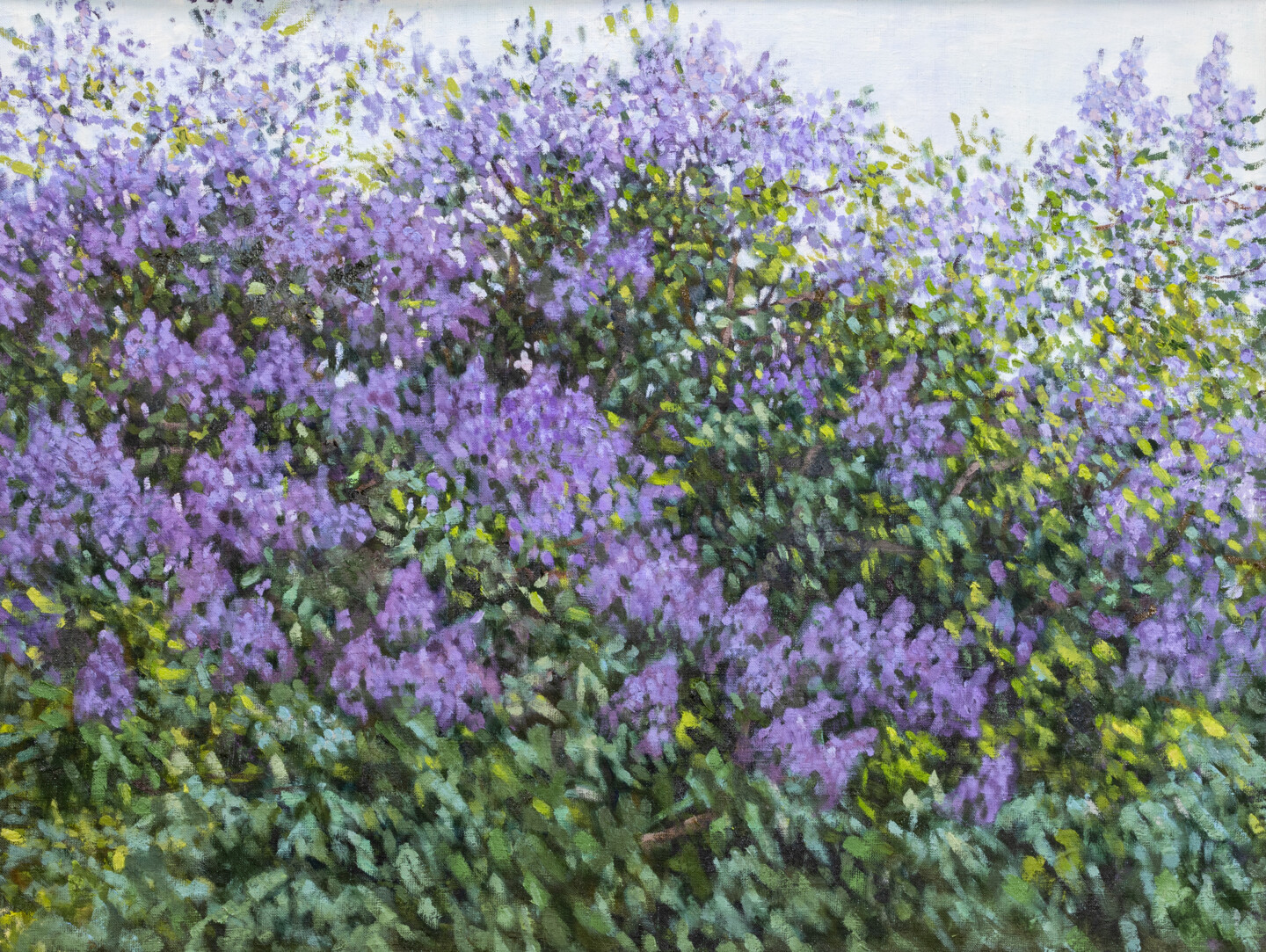 17025640_20230726-0001