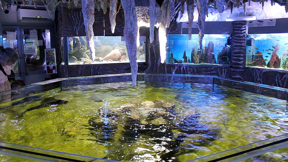 vid-zala-Alushtinskij-akvarium